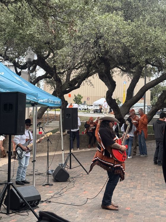 A guitarist mid-set under the oaks.